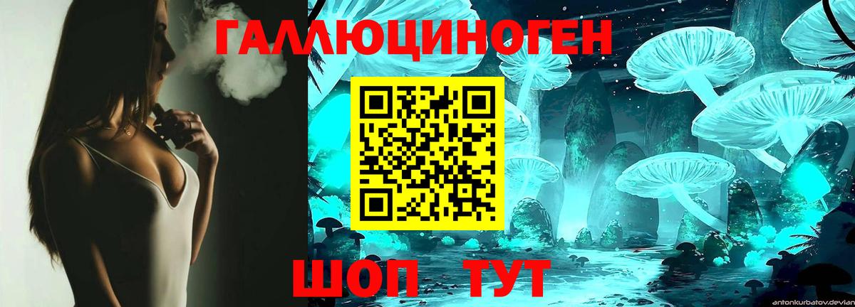 Галлюциногенные грибы Psilocybe Изобильный